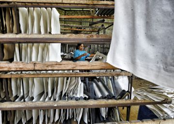 La fábrica de papel de boñigas de elefante, una historia única en Sri Lanka