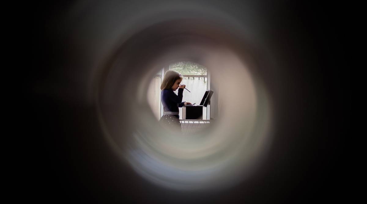 Catalina, los piratas y los viruses