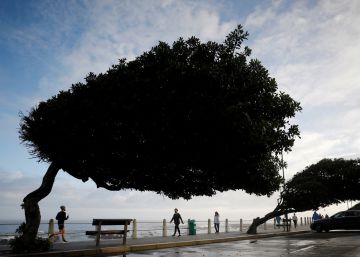 Africaniza el confinamiento (5)