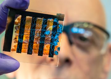 ¿Quiere tomar mejores decisiones? Aprenda microbiología