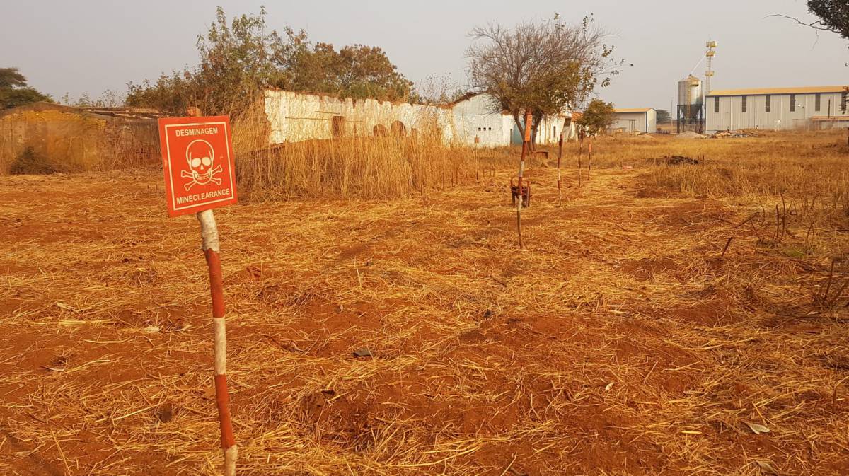 Angola: el suelo en el que las minas se han convertido en tomates y cebollas