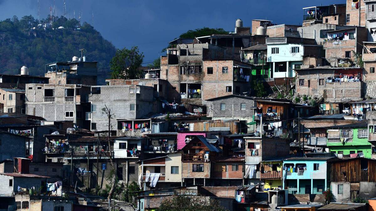 Cuando la solidaridad internacional se construye desde cerca
