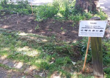 Ciudadano, cultiva tus alimentos… en el parque público