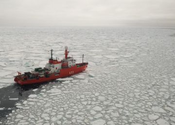 Salvar el océano Austral: objetivo 2020