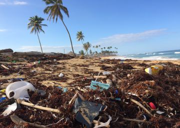 ¿Un mes sin plástico?