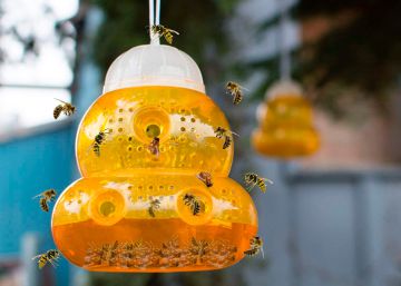 Jardín libre de picaduras con esta trampa para avispas que arrasa en Amazon