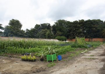 El jardinero horticultor