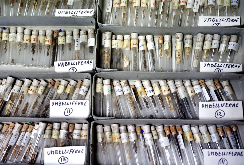 Frascos de semillas en los laboratorios del BGVA.