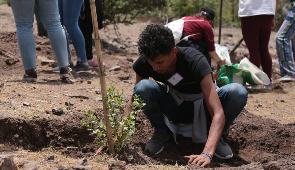 Un joven planta un árbol, una de las iniciativas de '1000 acciones por el cambio'.
