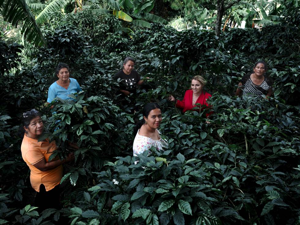 Mujeres de la Asociación Agropecuaria Café Femenino Gigante