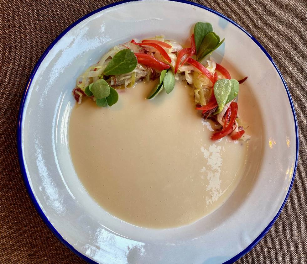 Crema fría de alubias de Campezo con berza fermentada y codillo de jabalí. J.C. CAPEL
