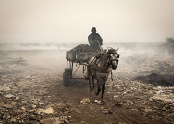 Dos meses de vida entre basura en Bargny