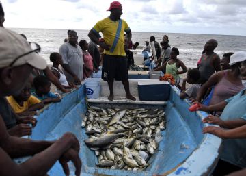 El mar podría aportar la cuarta parte de la alimentación mundial para 2050