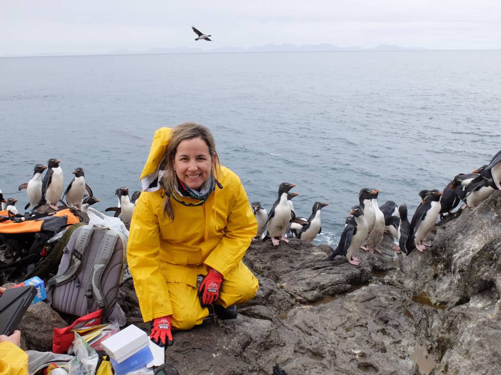 Juliana A. Vianna, recogiendo muestras de pingüinos papúa en la Antártida.