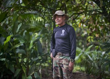 José Gregorio: o preservamos la selva amazónica o tomará venganza