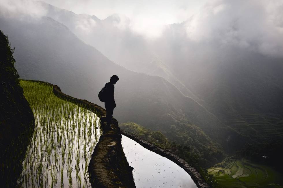 Los arrozales de Luzón (Filipinas), obra del pueblo ifugao, también son milenarios.