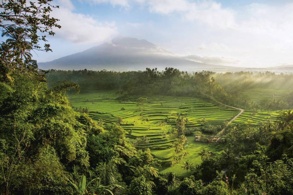 Los bancales de los arrozales de Mahagiri, en Bali, fueron construidos hace más de 2.000 años.