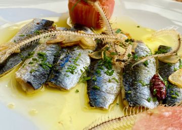 El gran festín de las sardinas