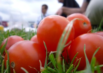 Tomates a 15 metros de altura y con vistas a la Torre Eiffel
