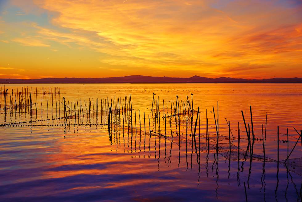 Atardecer en La Albufera, Valencia.