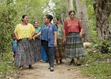 La ONU: un 75 cumpleaños virtual, con igualdad, ODS y biodiversidad como prioridades