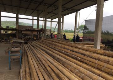 Cómo construir desarrollo sostenible con una hierba gigante