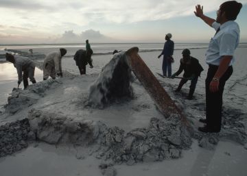 La leyenda de una víctima del ‘apartheid’ y la nueva Sudáfrica