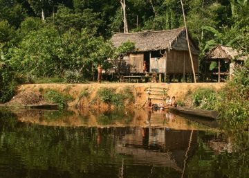 El mapa de las personas que dependen del bosque