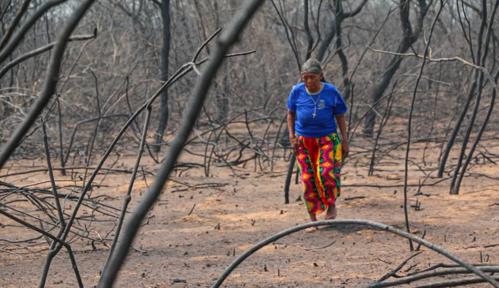 Una mujer camina entre los restos de los incendios de 2019 en El Chaco (Paraguay).