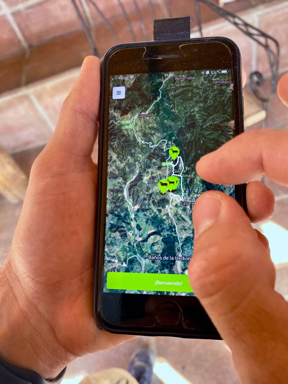 Geolocalización del ganado a través del movil. J.C. CAPEL