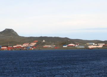 Cuatro olas de calor en la península antártica