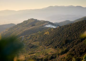 Los magos del Bierzo