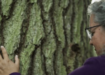 Nadie sabe cómo será la Tierra dentro de 30 años