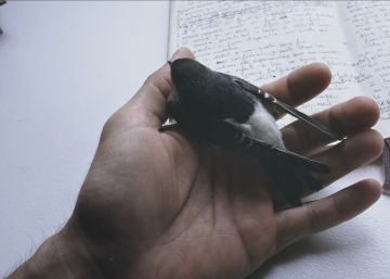 ¿Cómo seguir viviendo cuando sabes lo que nos espera?