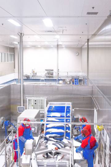 One of the factories where salmon is processed.