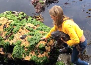 Una niña sin miedo rescata a un bebé de tiburón