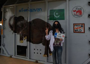 El elefante más solitario del mundo llega al fin a su santuario