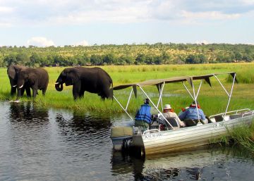 Se venden 170 elefantes al mejor postor (y cuidador)