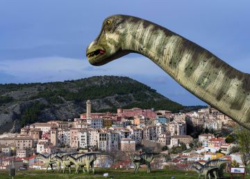 ¿Y a mí qué se me ha perdido en Cuenca?