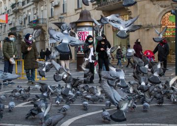 Hacia la construcción de ciudades para la vida