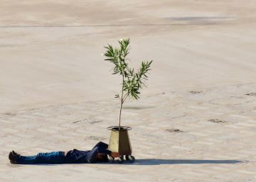 El Bionic Festival une danza experimental con árboles