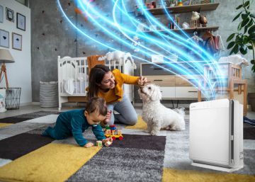 Así mejora el bienestar purificar el aire de nuestro entorno