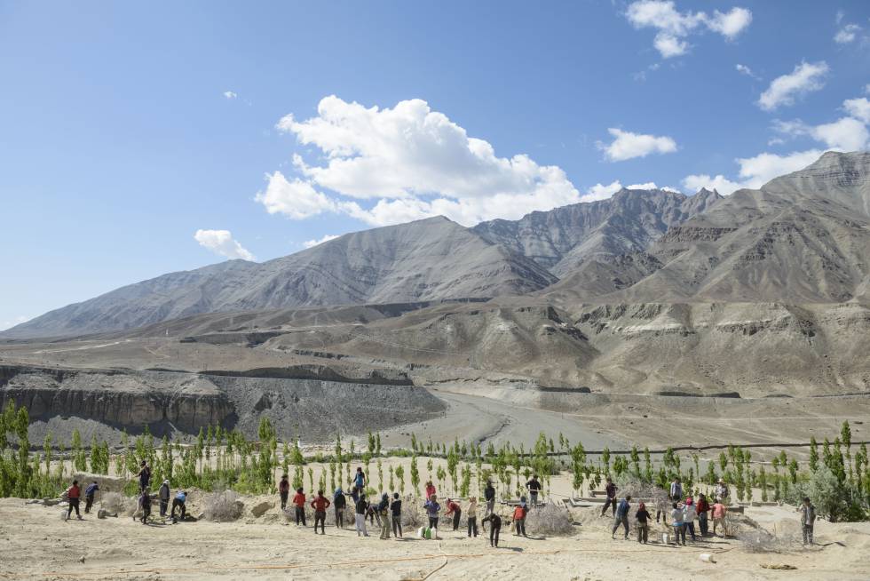 Plantación de árboles en Ladakh gracias al sistema de riego que proporcionan los glaciares artificiales creados por Wangchuk. ©Rolex