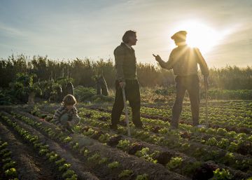 Los últimos hortelanos