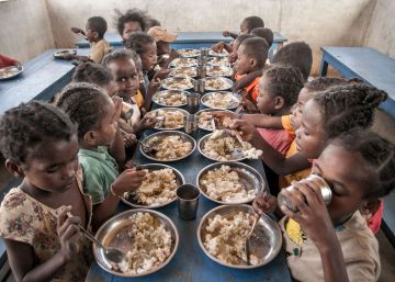 ONG: renovación o irrelevancia