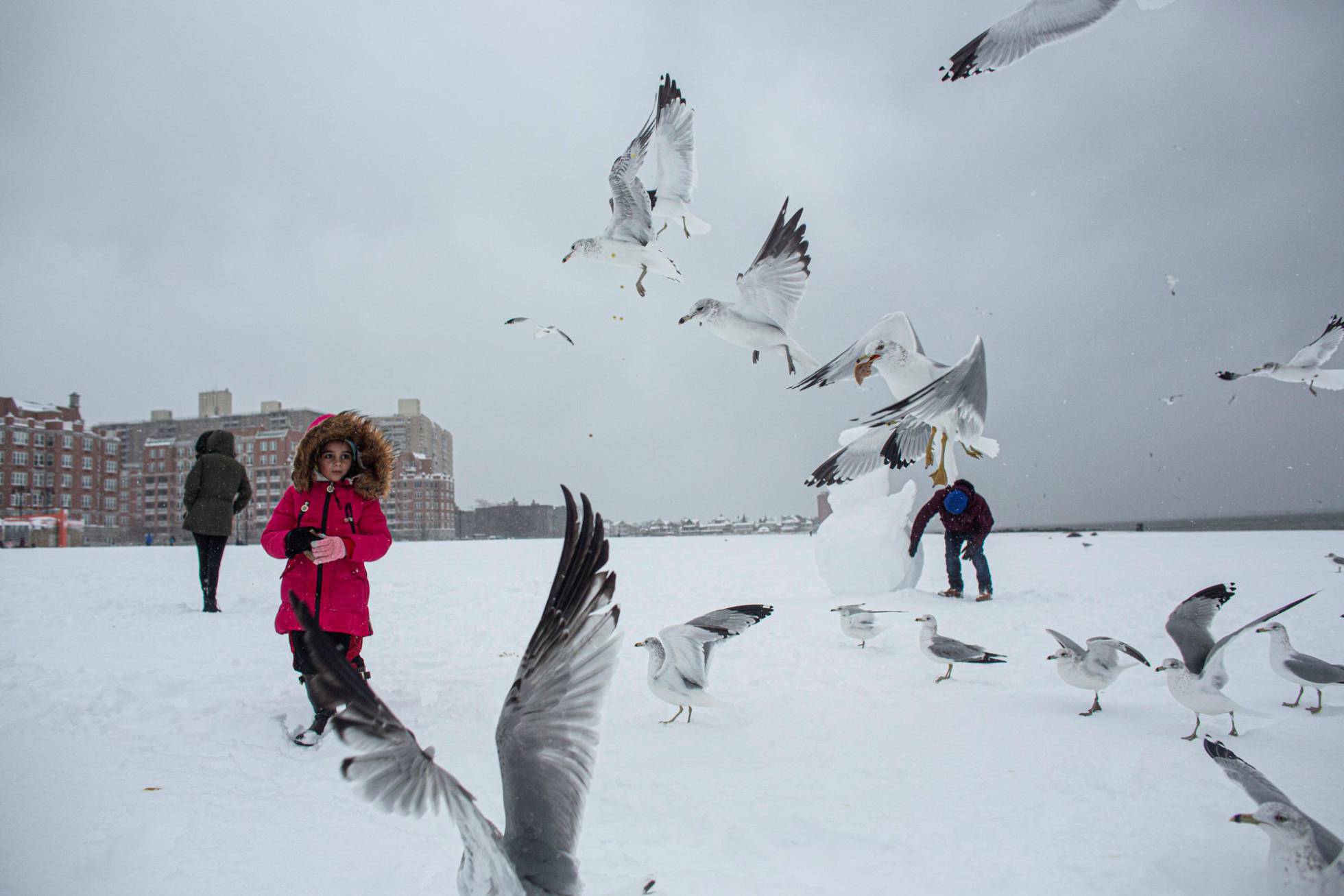 Fotos Nueva York Se Cubre De Nieve Actualidad El Pais Reproducimos fragmentos de un articulo publicado en el invierno anterior por orfilio pelaez, excelente articulista de temas cientificos. fotos nueva york se cubre de nieve