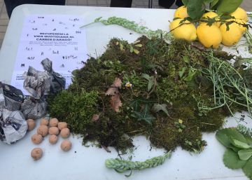 Guerrilla en el alcorque