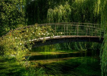 ¿Para qué sirve un jardín?