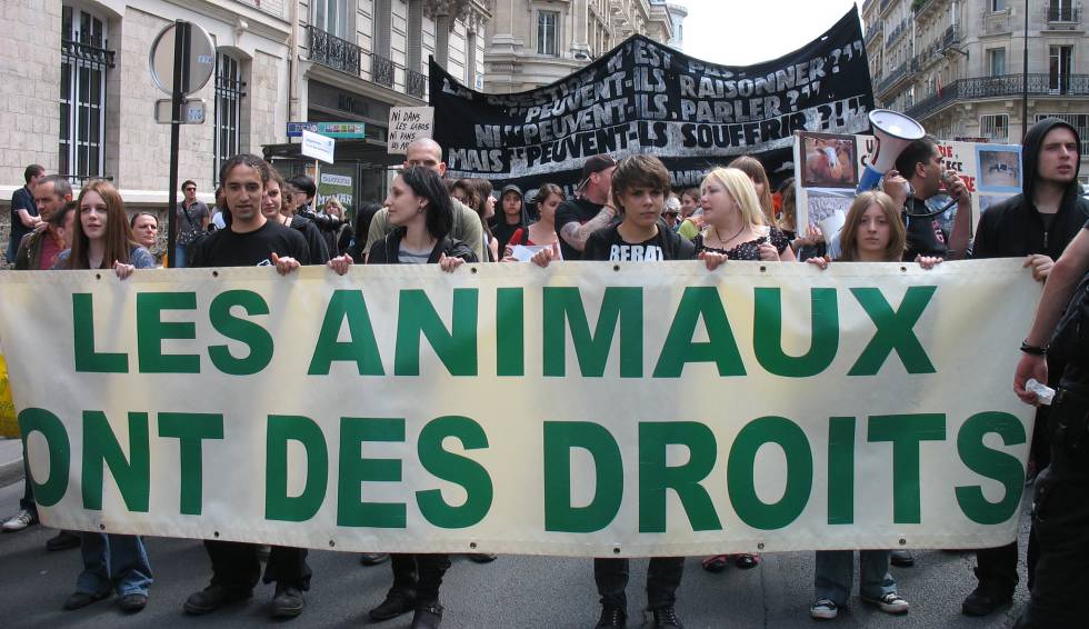 Desde la celebración de la Veggie Pride en París en el 2001 el ambiente ha cambiado en Francia en relación a los animales domésticos