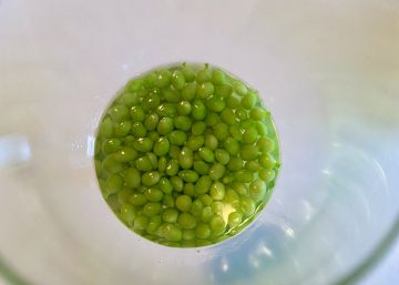 Los códigos ocultos del restaurante Mugaritz